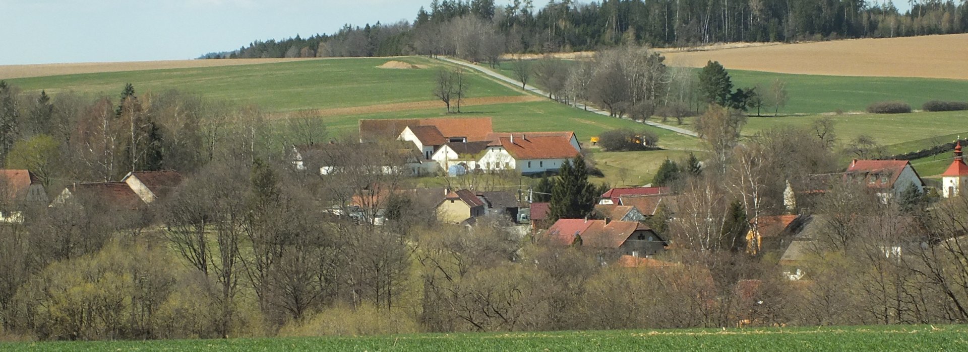 Měnič obrázků - fotografie